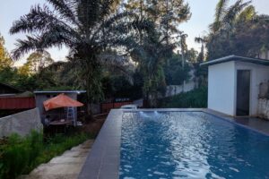 Villa Skylla Pinus