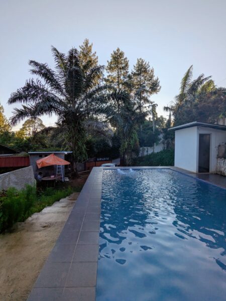 Villa Skylla Pinus