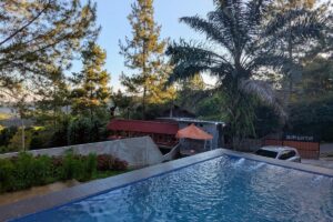 Villa Skylla Pinus