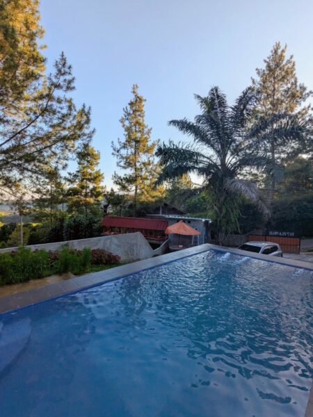 Villa Skylla Pinus