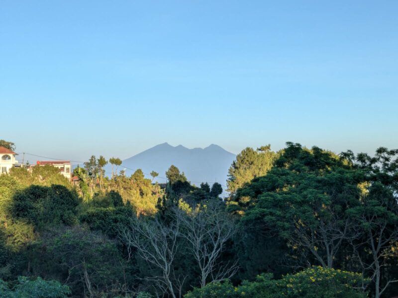 Villa Skylla Pinus