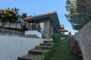 Villa Pinus